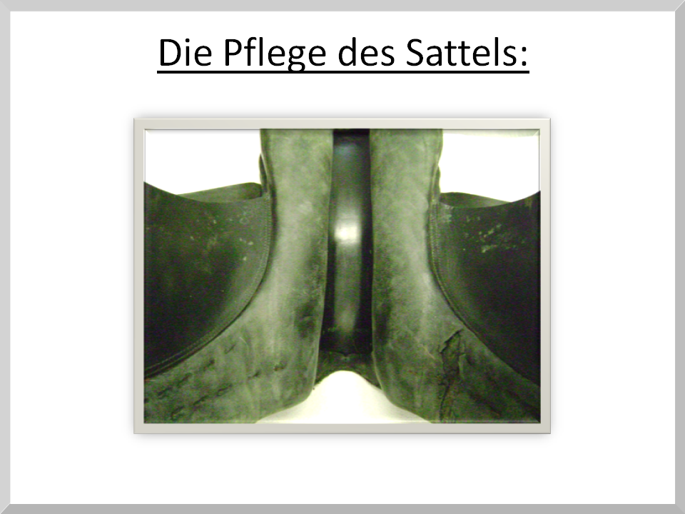 Die Pflege des Sattels Teil 1